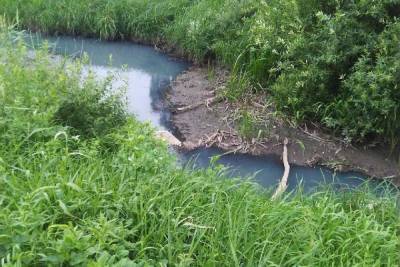 В Ярославле заведено административное дело по факту загрязнения реки