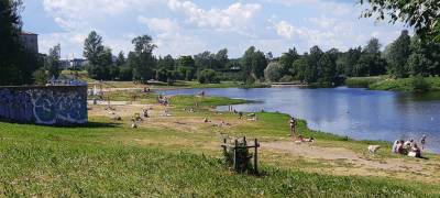 Число бактерий в реке Лососинка, где любят отдыхать жители Петрозаводска, превышает норму в 140 раз