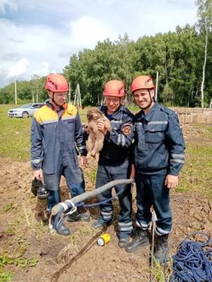 В Кузбассе спасатели достали щенка из трёхметровой выработки