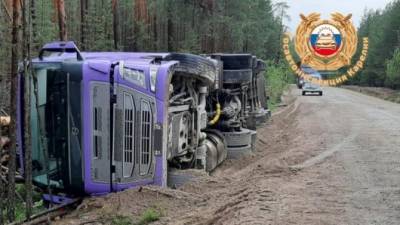 Водитель погиб при опрокидывании лесовоза в Карелии