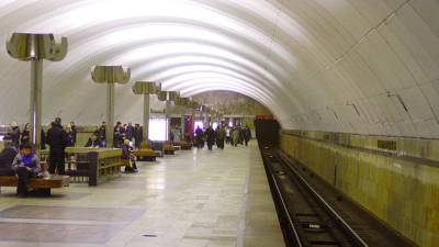 В Москве приостановили движение поездов между станциями "Багратионовская" и "Кунцевская"