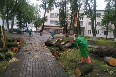 Роза Люксембург - Последствия урагана продолжают ликвидировать в Великих Луках - mk-pskov.ru - Люксембург - Псков