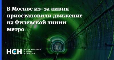 В Москве из-за ливня приостановили движение на Филевской линии метро