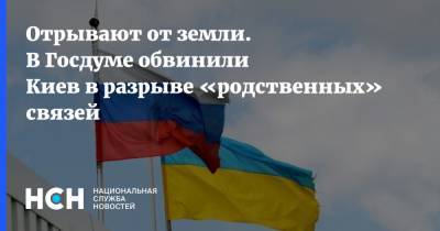 Отрывают от земли. В Госдуме обвинили Киев в разрыве «родственных» связей