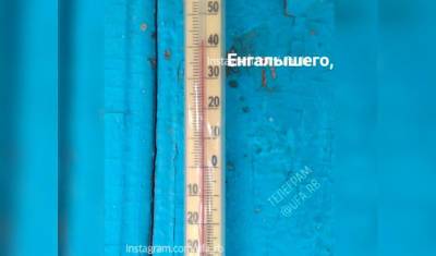 В одном из поселков Башкирии столбик термометра дошел до +42 градусов