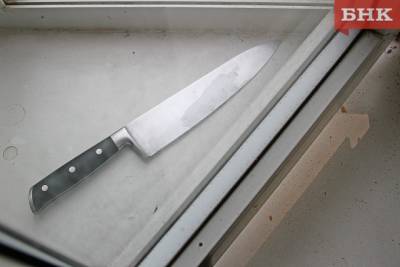 В Удорском районе осудили метателя ножей