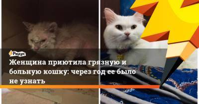 Женщина приютила грязную и больную кошку: через год ее было не узнать