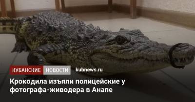 Крокодила изъяли полицейские у фотографа-живодера в Анапе