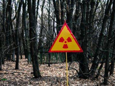 "Не наши проблемы": В "Прикладной химии" отказались от отвечать за превышение уровня радиации в Кузьмолово в 300 раз