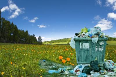 Садоводческие товарищества Ленобласти будут штрафовать за незаконный вывоз мусора