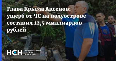 Глава Крыма Аксенов: ущерб от ЧС на полуострове составил 12,5 миллиардов рублей
