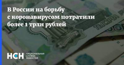 В России на борьбу с коронавирусом потратили более 1 трлн рублей
