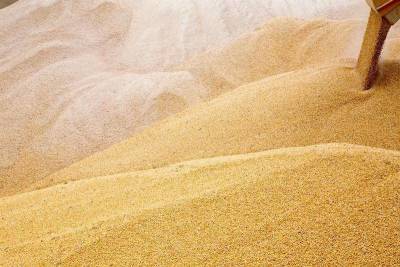 Экспортные цены на пшеницу РФ почти не изменились перед наступлением нового сезона