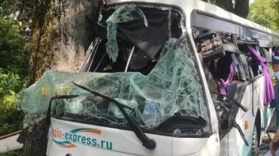 В Калиниградской области полный пассажиров автобус врезался в дерево — фото