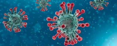 В Оренбургской области выявлены еще 204 заразившихся коронавирусом