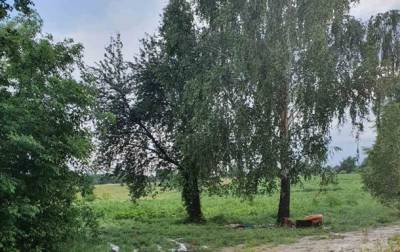 В Черкасской области молния убила мужчину и женщину