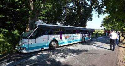 Кукушкина: Врезавшийся под Янтарным в дерево автобус перед столкновением ехал со скоростью 47 км/ч