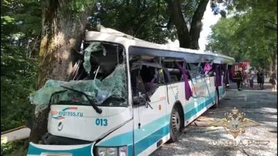 11 пострадавших: в Калининградской области пассажирский автобус протаранил дерево