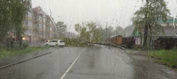 Вологда стала жертвой стихии, о которой предупреждали заранее: поваленные деревья, сорванные крыши, затопленные дворы