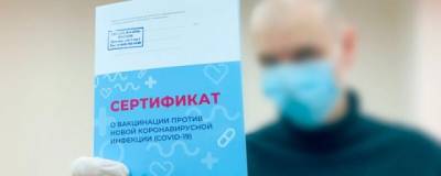 В Совфеде озвучили наказание за поддельный сертификат о вакцинации
