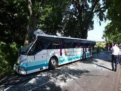 В Калининградской области пассажирский автобус врезался в дерево, пострадали 27 человек
