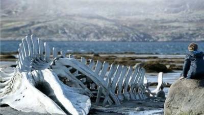 Скелет кита из фильма «Левиафан» станет достопримечательностью в Заполярье