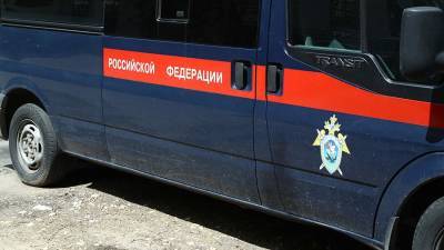 Девочка погибла после падения из окна в Москве