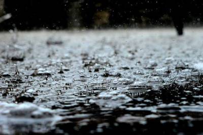 Дожди с грозами продолжат поливать Смоленскую область 29 июня