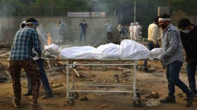 В Индии более 3 тысяч человек скончались от «черной плесени»