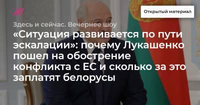 «Ситуация развивается по пути эскалации»: почему Лукашенко пошел на обострение конфликта с ЕС и сколько за это заплатят белорусы