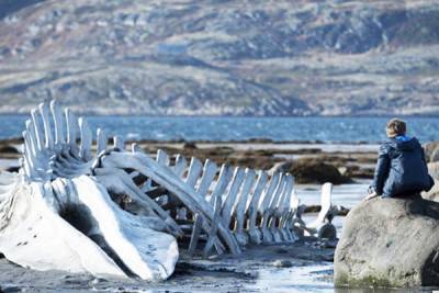 Скелет кита из фильма «Левиафан» вернули в село Териберка