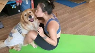 Пушистый тренер: две собаки-милашки помогают человеку заниматься спортом (Видео)