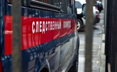 В Приморском крае начато расследование предполагаемого убийства троих детей
