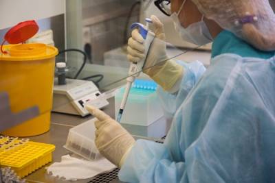 Диагностируют ли индийский штамм коронавируса по тесту ПЦР в Новосибирске рассказал ученый