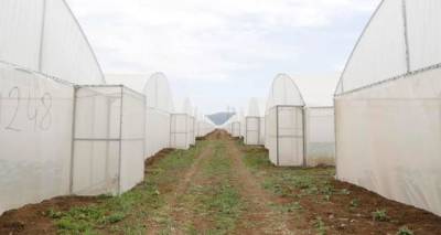 Правительство Грузии планирует улучшить доступ для фермеров к кредитам