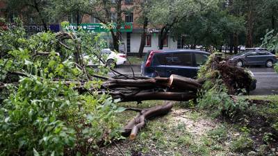 Поваленные непогодой в Москве деревья повредили 45 машин
