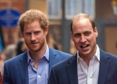 «Готовы перегрызть друг другу глотки!»: принцы Уильям и Гарри не собираются мириться