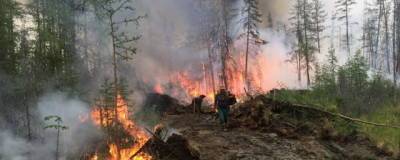В Якутии бушуют лесные пожары на площади 100 тысяч га