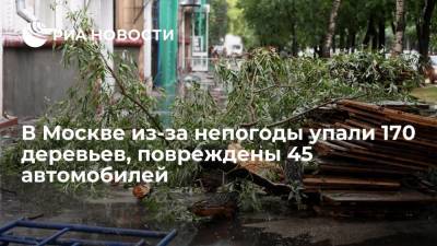 В Москве из-за непогоды упали 170 деревьев, повреждены 45 автомобилей