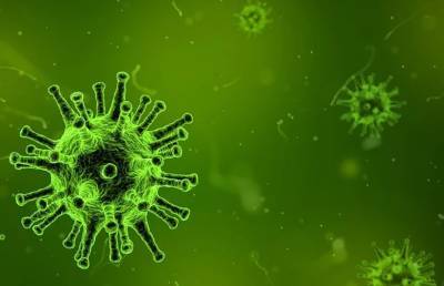 Ученые узнали о произошедшей 20 тыс. лет назад эпидемии коронавируса - grodnonews.by - Белоруссия