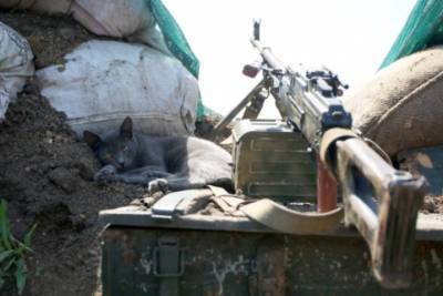 Боевики за сутки дважды стреляли на Донбассе и ранили украинского воина