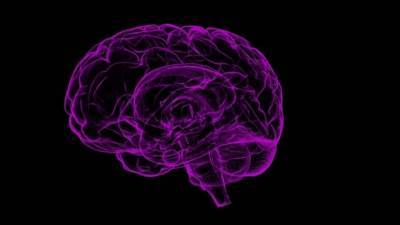 Ученые зафиксировали новый тип сигнала в мозге человека