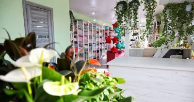 Здесь будет сад: в Калининграде открывается оптово-розничная база цветов «Калинково»