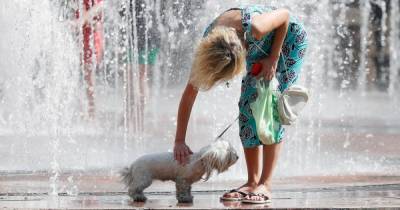 Самый жаркий июль за 30 лет: синоптики прогнозируют рекордную жару в Украине