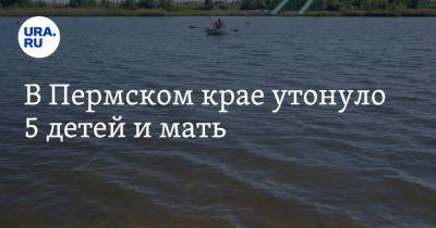 В Пермском крае утонуло 5 детей и мать
