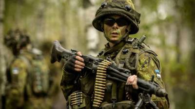Рада сегодня рассмотрит территориальную оборону и увеличение штата ВСУ - lenta.ua - Украина - Эстония