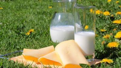 Диетолог дала рекомендации по употреблению молочной продукции