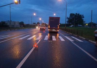 В ДТП с грузовиком в Рыбновском районе пострадали двое детей