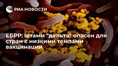 В ЕБРР заявили об опасности штамма "дельта" для стран с низкими темпами вакцинации