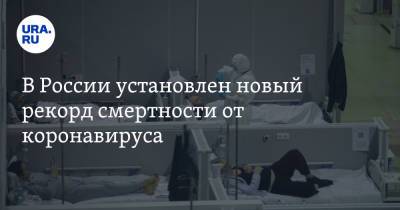 В России установлен новый рекорд смертности от коронавируса